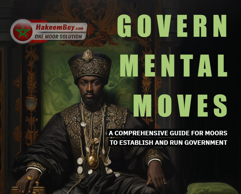 GovernMental Moves by Hakeem Bey