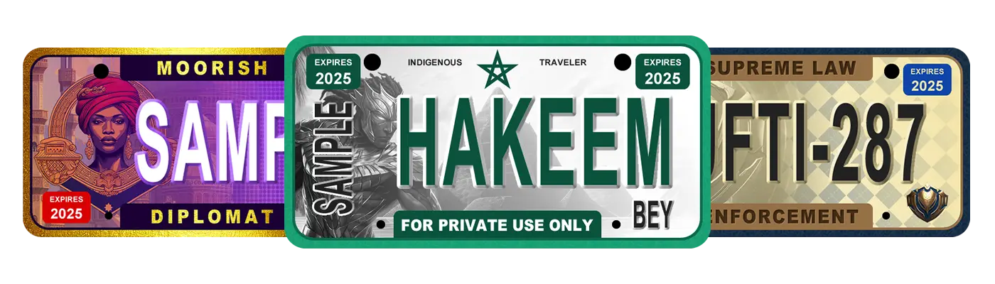 License Plate Designs