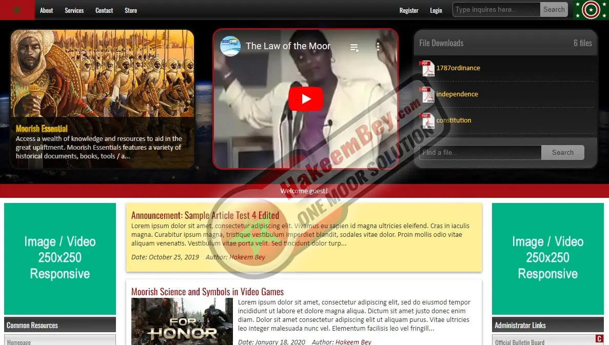 Dynamic Web Design / Development